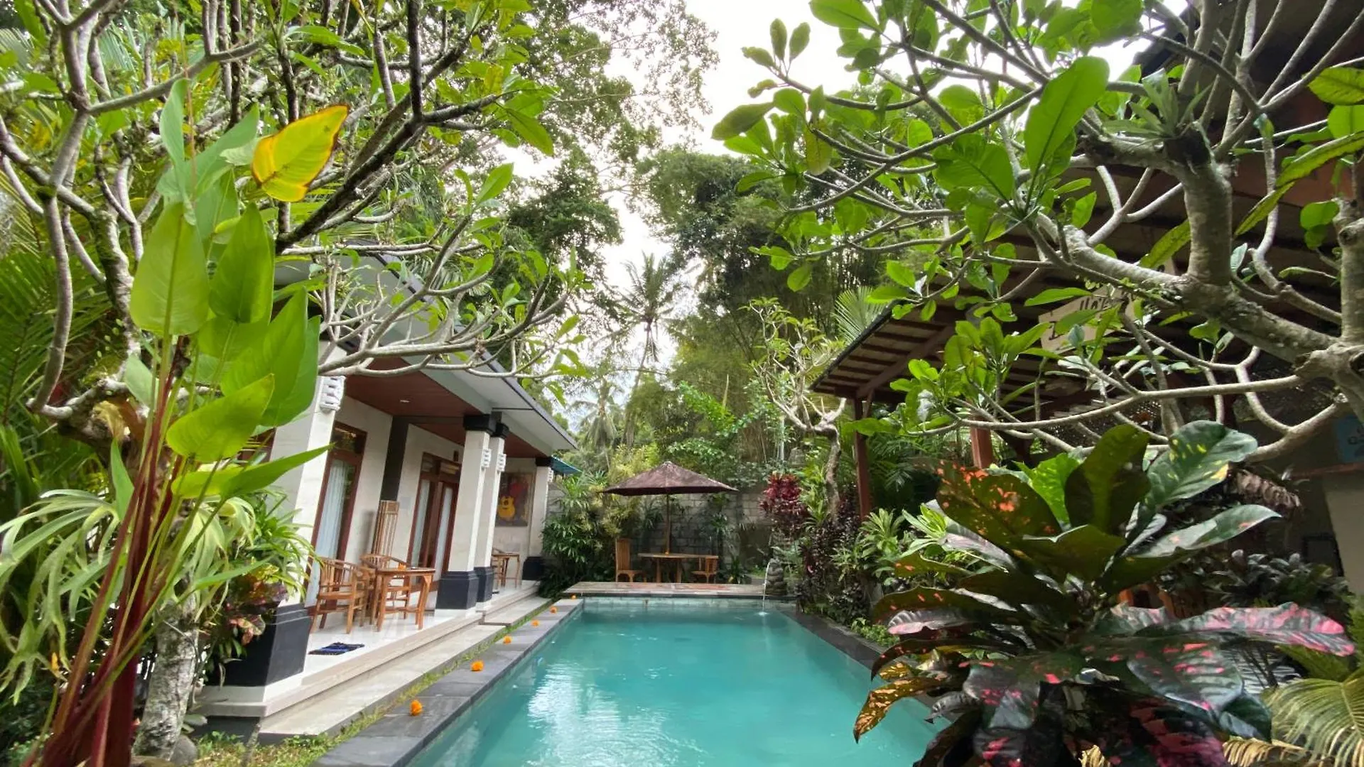 D'Bunut Villa Ubud 0*, Ubud (Bali) Indonesia